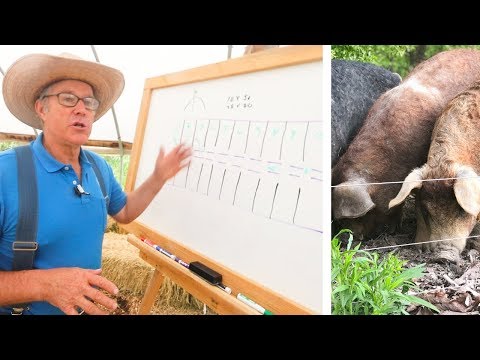 Joel Salatin Teaches Pasture Pigs (for Profit)