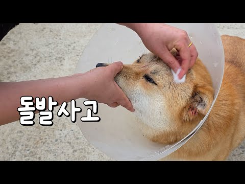 너무 속상합니다