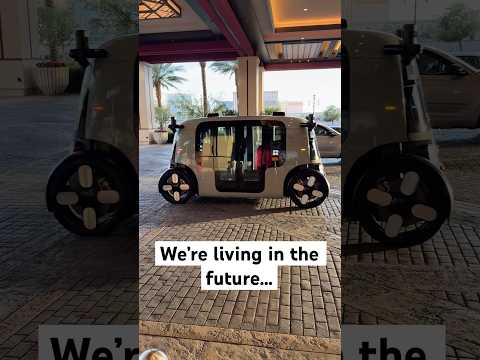Las Vegas self-driving taxi service. Would you ride in one? π