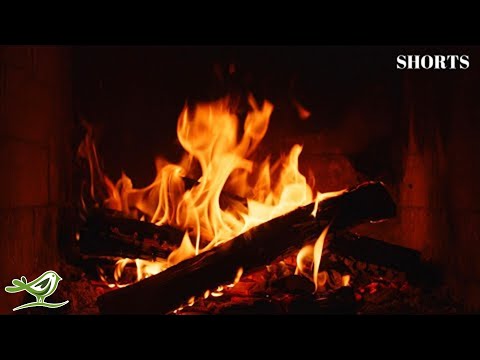 Relaxing Music & Fireplace Sounds β’ Welcome to Soothing Relaxation