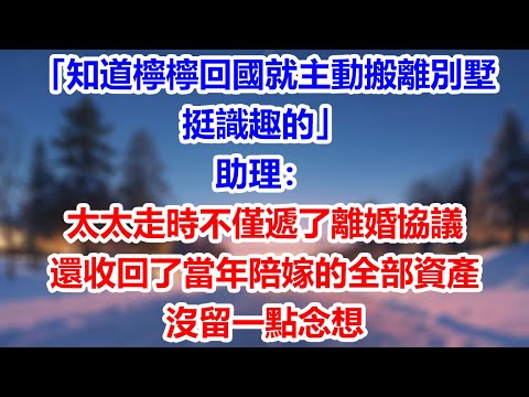 「知道檸檸回國就主動搬離別墅,挺識趣的」助理:太太走時不僅遞了離婚協議,還收回了當年陪嫁的全部資產,沒留一點念想#為人處世#生活經驗#情感故事#故事#小說#戀愛#情感#婚姻