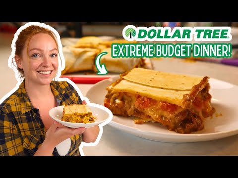 Dollar Tree Dinner: Feed 6 for Just $7.25!