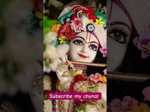 support my new chynal