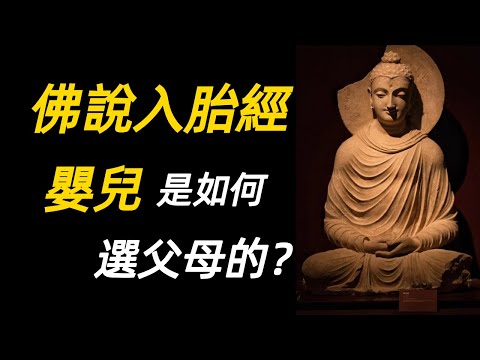 解密嬰兒怎麽選擇父母投胎?《佛說入胎經》釋迦牟尼世尊開示輪回真相!