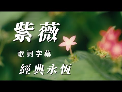 (紫薇)朋友喜歡(經典永恆)🐰謝謝朋友🐥🐥