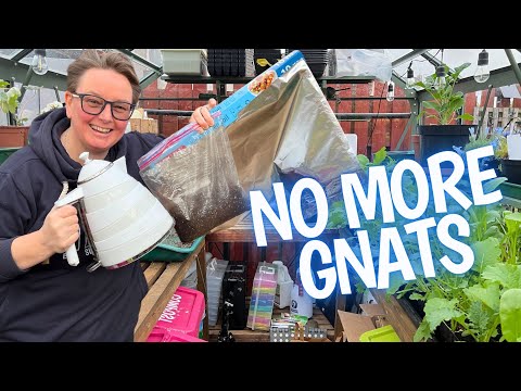 3 Ways to Sterilise Compost for use Indoors