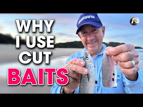 Are Cut Baits the Tactic to Landing MONSTER Fish?!