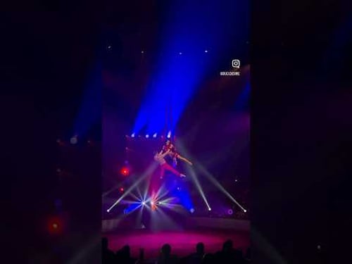 13th Festival Internacional del Circ Elefant d'Or / 2025