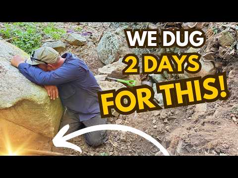 We Picked Up An Absolute Screamer... Now I'm Wondering How To SPEND IT!