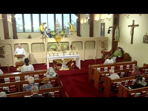 Daily Readings and Homily - 2025-10-08 - Fr. Leonard