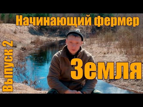 Берем землю под пасеку