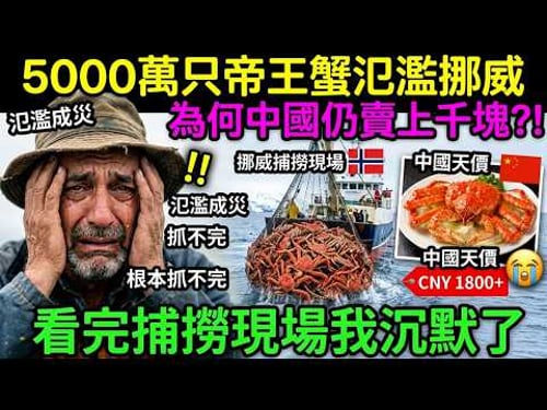 5000萬只帝王蟹氾濫挪威,為何中國仍賣上千塊?看完捕撈現場我沉默了