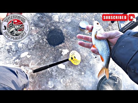КРУПНАЯ ПЛОТВА ОТРЫВАЕТ КРЮЧКИ.Зимняя рыбалка на плотву.