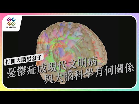 憂鬱症成現代文明病,與大腦科學有何關係|打開大腦黑盒子|公視 #獨立特派員 第798集 20230426
