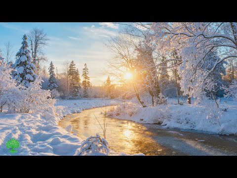 Beautiful Winter Music 2026 βοΈ Relaxing Music to Heal the Mind, Reduce Stress & Relax Deeply