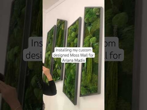Moss for Ariana Madix #mosswall #moss #vanderpumprules #bravotv #artinstallation #greenlifestyle