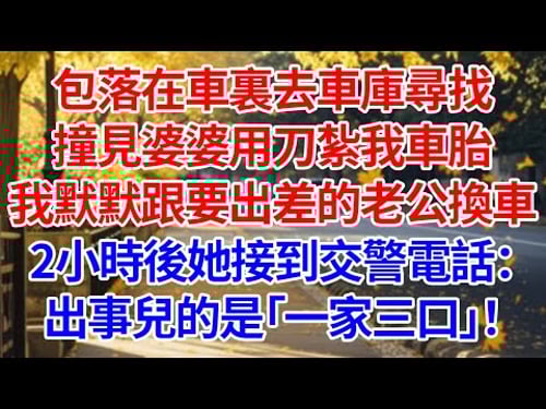 包落在車裏去車庫尋找撞見婆婆用刀紮我車胎。我默默跟要出差的老公換車,2小時後她接到交警電話:出事的是「一家三口」#情感 #人生感悟 #爽文 #為人處世 #故事