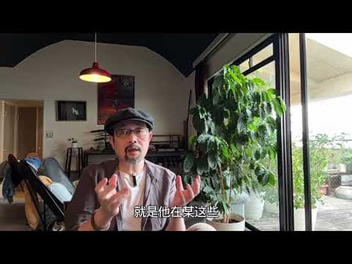 闲聊:圣上的“大清洗”还会持续多久;这种清洗的内部逻辑;“二十一大”之前为什么要“刀口向内”|马兴瑞|张又侠|尹力|陈吉宁|