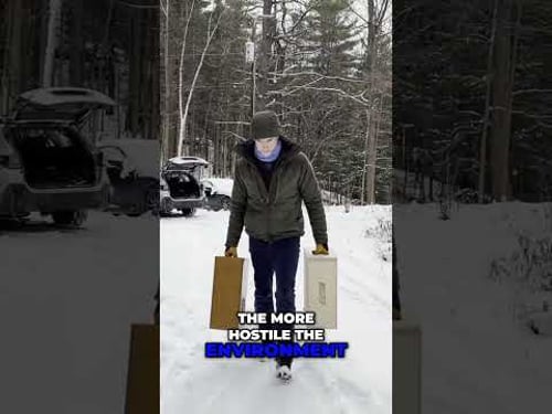 Apple Boxes: Your Secret Weapon for Perfect Shoots #shorts