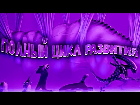 От яйца до королевы: Тайны Жизненного Цикла Ксеноморфов