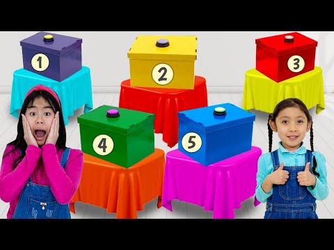 Jannie & Maddie Cardboard Box Jail Challenge