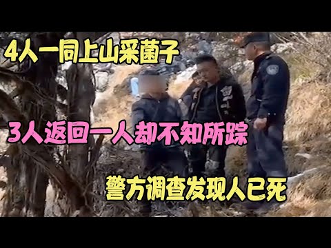 4人一同上山采菌子,3人返回一人却不知所踪,警方调查发现人已死 #婚姻问题 #离婚 #夫妻关系 #情感纠纷 #感情破裂