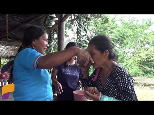 LA LEÑADA EN LA COMUNIDAD AMAZONAS