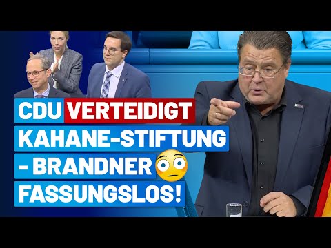 Union verteidigt Kahane-Stiftung und rügt Merz-Kritik! - Brandner fassungslos! - AfD-Fraktion