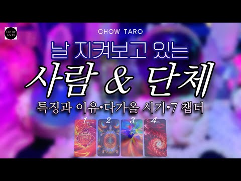 🦋 그 존재들의 등장 시기와 함께 이런 걸 하게 됩니다! 🔮