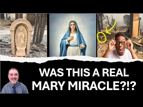 Didaché - Was This a Real Mary Miracle?!?