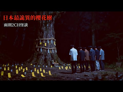日本2CH怪談兩則:我們一起去了隧道處的一顆櫻花樹下試膽,回到家之後,其中一個人開始瘋了 | 恐怖故事 | 鬼故事 | 日本怪談