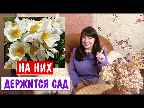 КРАСИВЫ ВЕСЬ СЕЗОН! Этих растений должно быть как можно больше в саду.