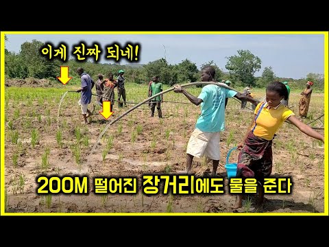 Rice cultivation in Africa. Watering even from 200 meters away. #CentralAfricanRepublic #SaemaulU...