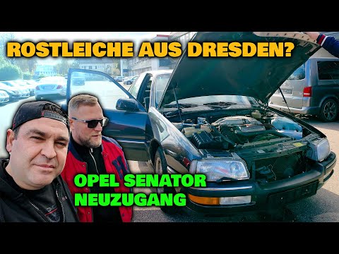 LEVELLA | Lieferung aus Dresden @DieAutogesellschaftDresden - Opel Senator doch eine Rostleiche?