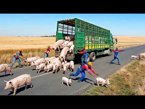 Total Idiots At Work Caught on Camera