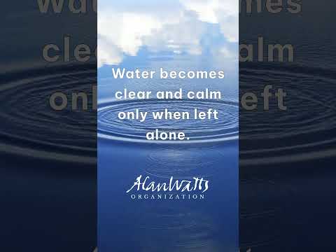 Alan Watts quote from ‘Zen & Meditation: Art of Meditation’ #alanwattsquotes #alanwattswisdom