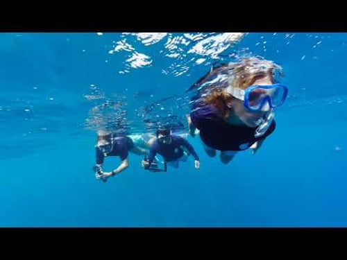 An Immersive Journey to Tetiaroa with Android XR & Google - Experience The Brando in 180°