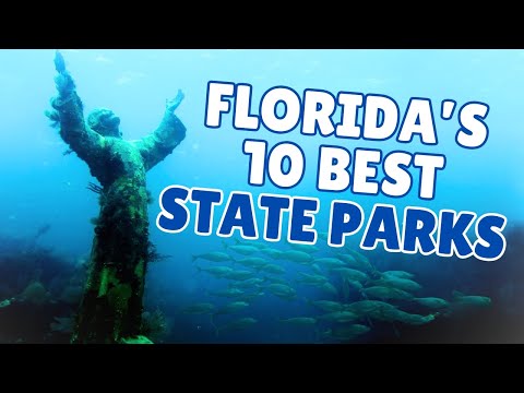 Top 10 State Parks in Florida (And Why They’re So Wildly Unique)