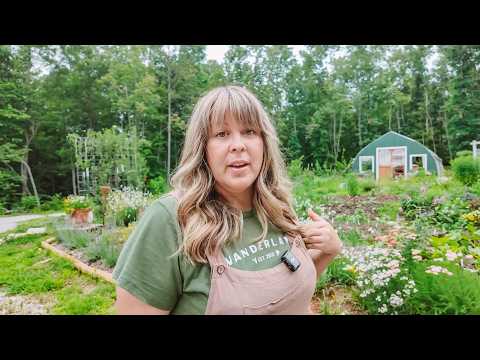 How I Afford To Live Off Grid