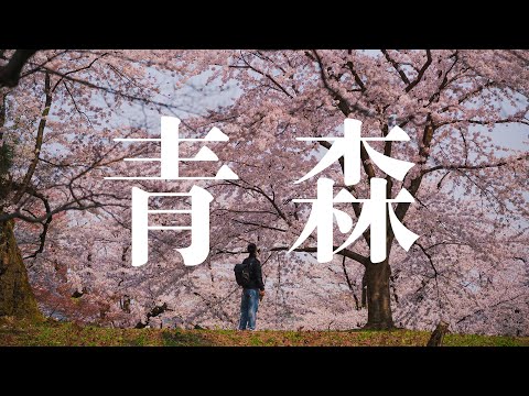 4K | 在日本青森 我走進了櫻花的世界 日本東北地區賞櫻之旅 | In Aomori, Japan I walked into the world of cherry blossoms