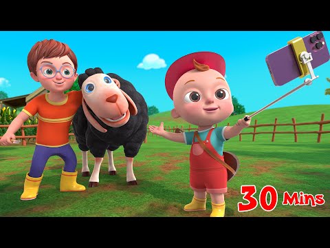 Animal Songs For Kids | Beep Beep Nursery Rhymes & Kids Songs
