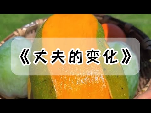 丈夫的变化,是从半年前开始的。5000 元家用骤减到 500。拿到钱的一刻,我懵了:「500 块?连女儿的奶粉都不够,你怎么好意思开这口?」#小说 #故事