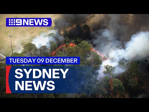 9News Sydney | Tuesday December 9 | Full Episode