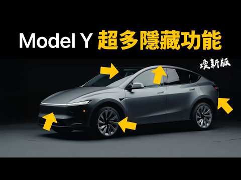 Model Y Hidden features