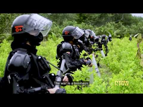 Gulf Clan Stronger than Ever in Colombia