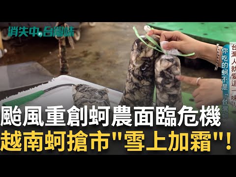 台人就愛這味! 台蚵仔年產量世界第六 颱風重創嘉義牡蠣 蚵農面臨產量下滑危機...東石烤蚵吃到飽 挑戰產地到烤爐最短距離!|華舜嘉 主持|【無蚵之島 消失的台灣味】20241116|三立新聞台
