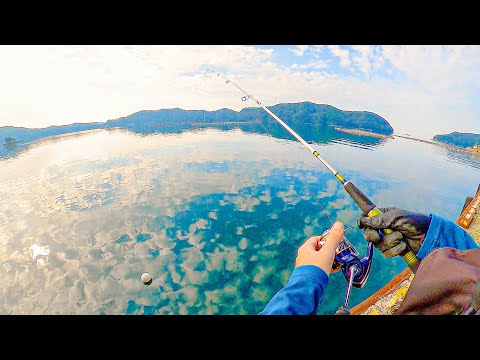 餌代0円で大物が釣れる、堤防カワハギ釣り