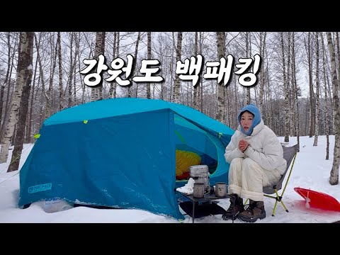 눈 덮인 강원도 숲속에서 캠핑하기! 자작나무숲 백패킹