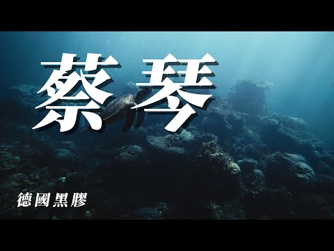 (蔡琴)(徳國黑膠)(無損音質)分享朋友👍🏻👍🏻👍🏻👍🏻👍🏻😍VOL2