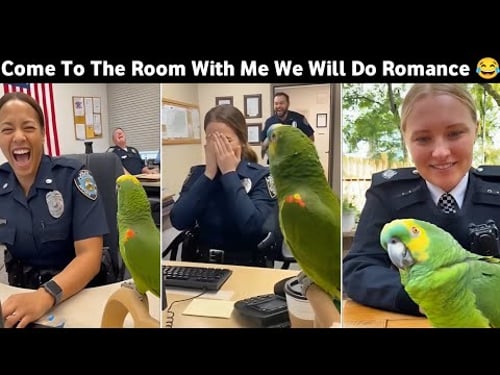 🦜 Officer Miller You're Beautiful | Come To The Room With Me We Will Do Romance 😂 | Funny Parrot